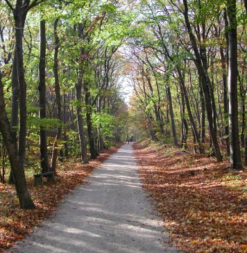 HR Events: Das bringt der Herbst 2015