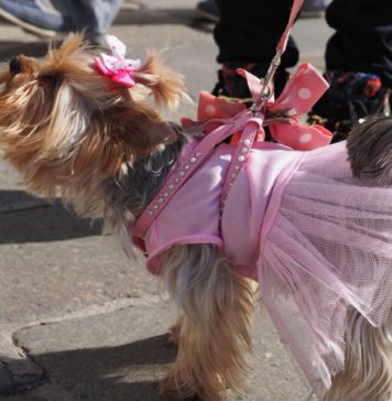 HR BarCamp Wien: Weniger Chichi im Personalmanagement!
