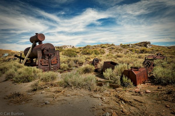 GoldrauschimRecruiting