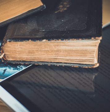 Die verdrängte Frage: Wer braucht noch Personalentwicklung?