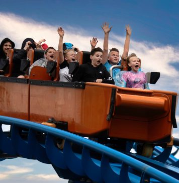 Willkommen am Bewerbermarkt!